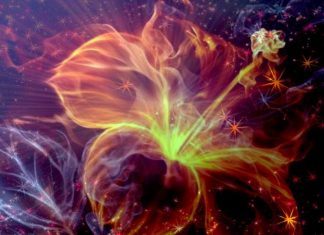 Le Conseil – Quelques questions longues avec des réponses courtes